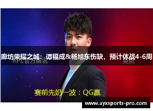 廊坊荣耀之城：谭福成&杨旭东伤缺，预计休战4-6周