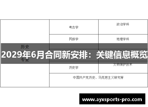 2029年6月合同新安排：关键信息概览