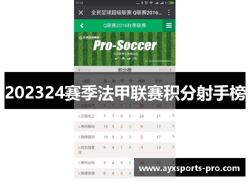 202324赛季法甲联赛积分射手榜